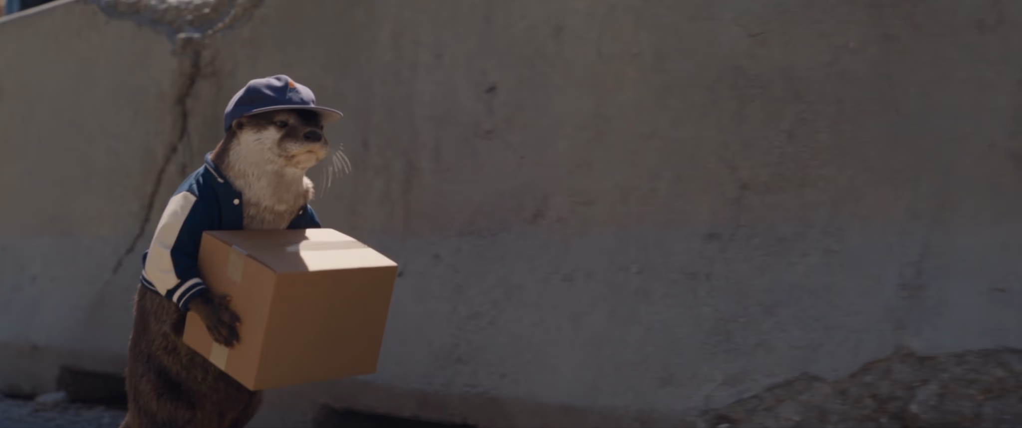 Clip 02